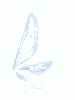 Fly Wing