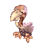 Condor