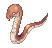 Anacondaq