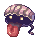 Shellfish