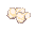 Ant Egg