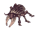Horn