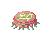 Plankton