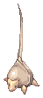 Stem Worm