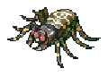 Giant Spider