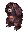 Zipper Bear