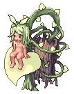 Parasite