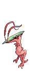 Novus