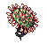 Drosera