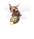 Luciola Vespa