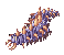 Centipede Larva