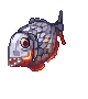 Piranha